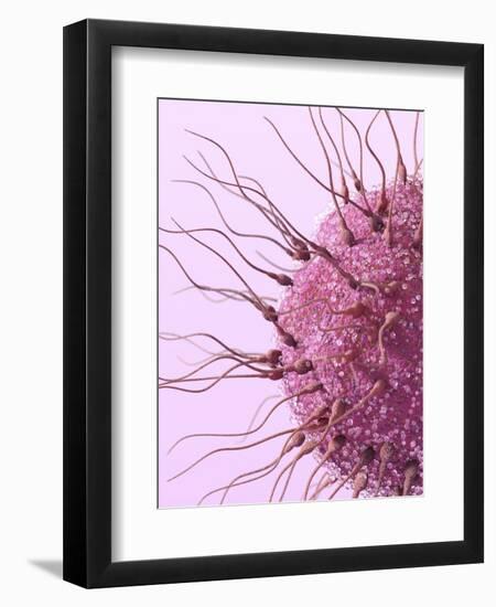 Human Fertilisation, Artwork-David Mack-Framed Premium Photographic Print