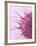 Human Fertilisation, Artwork-David Mack-Framed Photographic Print