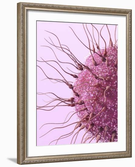 Human Fertilisation, Artwork-David Mack-Framed Photographic Print