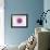 Human Fertilisation, Artwork-David Mack-Framed Photographic Print displayed on a wall