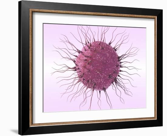 Human Fertilisation, Artwork-David Mack-Framed Photographic Print