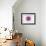 Human Fertilisation, Artwork-David Mack-Framed Photographic Print displayed on a wall