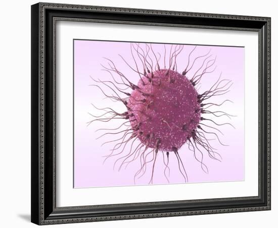 Human Fertilisation, Artwork-David Mack-Framed Photographic Print