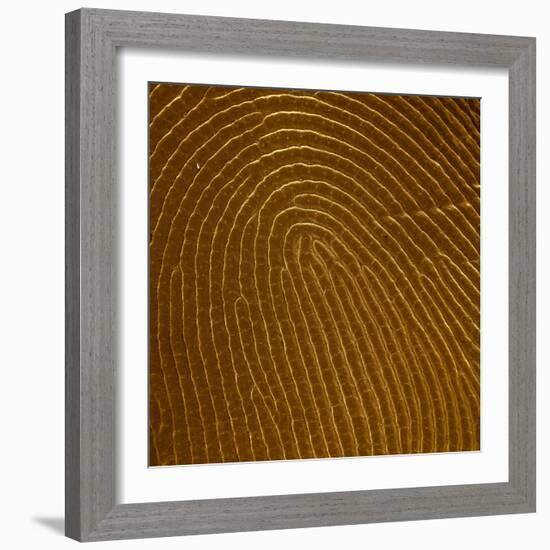Human Fingertip-null-Framed Photographic Print