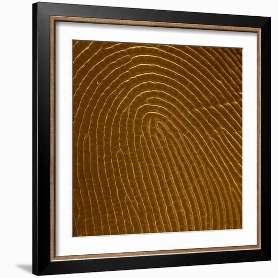 Human Fingertip-null-Framed Photographic Print