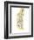Human Foot with Nervous System, Lymphatic System and Circulatory System-Stocktrek Images-Framed Premium Giclee Print