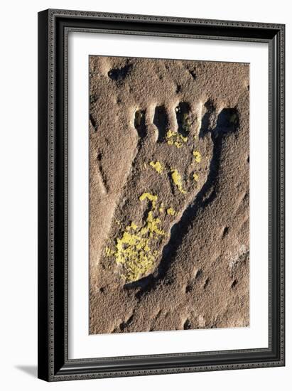 Human Footprint-null-Framed Giclee Print