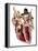 Human Heart, Anatomical Artwork-PASIEKA-Framed Premier Image Canvas