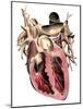 Human Heart, Anatomical Artwork-PASIEKA-Mounted Photographic Print
