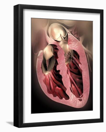 Human Heart, Anatomical Artwork-PASIEKA-Framed Photographic Print