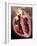 Human Heart, Anatomical Artwork-PASIEKA-Framed Photographic Print