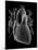 Human Heart, Anatomical Artwork-PASIEKA-Mounted Photographic Print