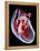 Human Heart, Artwork-Roger Harris-Framed Premier Image Canvas