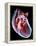 Human Heart, Artwork-Roger Harris-Framed Premier Image Canvas