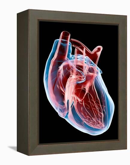 Human Heart, Artwork-Roger Harris-Framed Premier Image Canvas