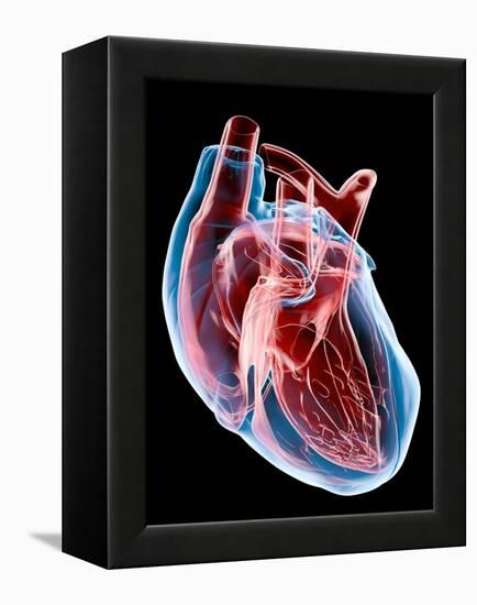 Human Heart, Artwork-Roger Harris-Framed Premier Image Canvas