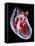 Human Heart, Artwork-Roger Harris-Framed Premier Image Canvas