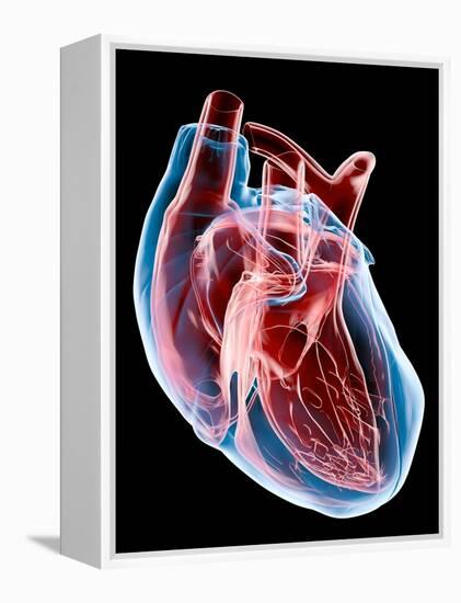 Human Heart, Artwork-Roger Harris-Framed Premier Image Canvas