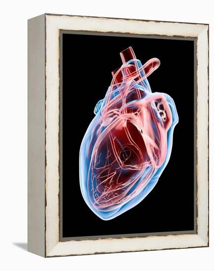 Human Heart, Artwork-Roger Harris-Framed Premier Image Canvas