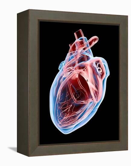 Human Heart, Artwork-Roger Harris-Framed Premier Image Canvas