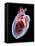 Human Heart, Artwork-Roger Harris-Framed Premier Image Canvas