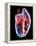 Human Heart, Artwork-Roger Harris-Framed Premier Image Canvas