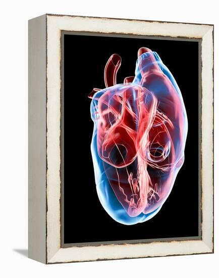 Human Heart, Artwork-Roger Harris-Framed Premier Image Canvas