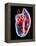 Human Heart, Artwork-Roger Harris-Framed Premier Image Canvas