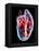 Human Heart, Artwork-Roger Harris-Framed Premier Image Canvas