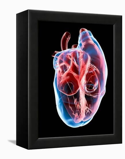 Human Heart, Artwork-Roger Harris-Framed Premier Image Canvas