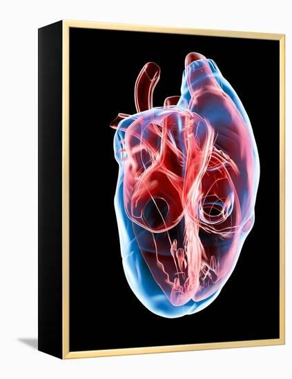 Human Heart, Artwork-Roger Harris-Framed Premier Image Canvas