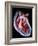 Human Heart, Artwork-Roger Harris-Framed Photographic Print