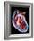 Human Heart, Artwork-Roger Harris-Framed Photographic Print