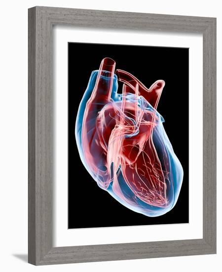 Human Heart, Artwork-Roger Harris-Framed Photographic Print