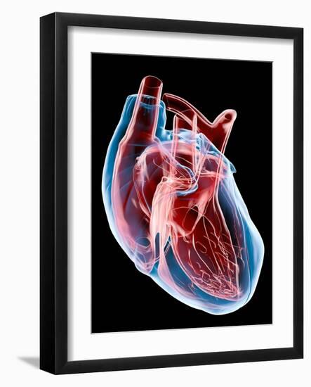 Human Heart, Artwork-Roger Harris-Framed Photographic Print