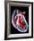 Human Heart, Artwork-Roger Harris-Framed Photographic Print