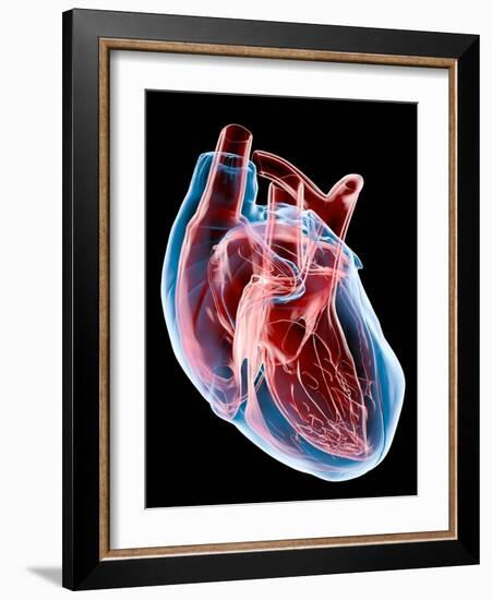 Human Heart, Artwork-Roger Harris-Framed Photographic Print