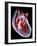 Human Heart, Artwork-Roger Harris-Framed Photographic Print