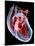 Human Heart, Artwork-Roger Harris-Mounted Photographic Print