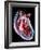 Human Heart, Artwork-Roger Harris-Framed Photographic Print