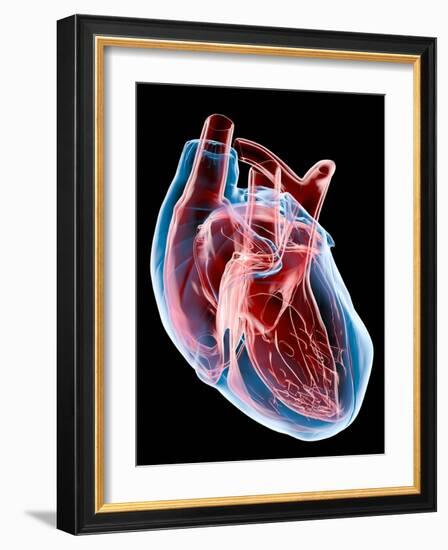 Human Heart, Artwork-Roger Harris-Framed Photographic Print