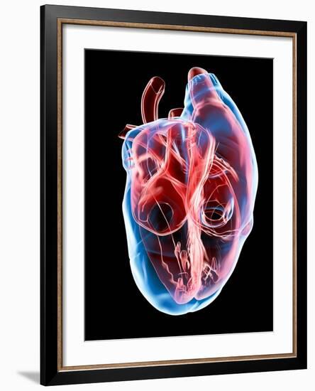 Human Heart, Artwork-Roger Harris-Framed Photographic Print