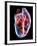 Human Heart, Artwork-Roger Harris-Framed Photographic Print