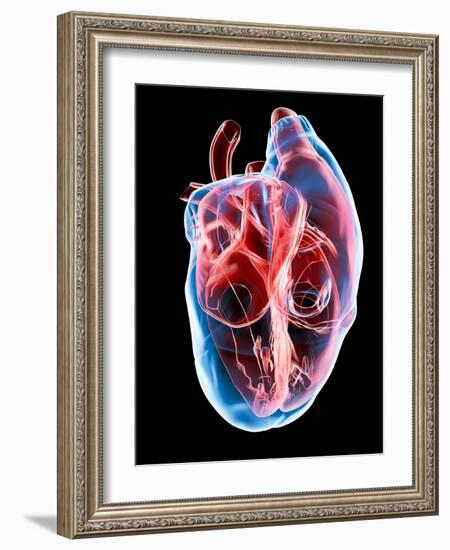 Human Heart, Artwork-Roger Harris-Framed Photographic Print