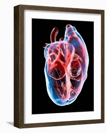 Human Heart, Artwork-Roger Harris-Framed Photographic Print