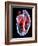 Human Heart, Artwork-Roger Harris-Framed Photographic Print