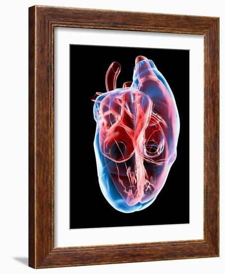 Human Heart, Artwork-Roger Harris-Framed Photographic Print