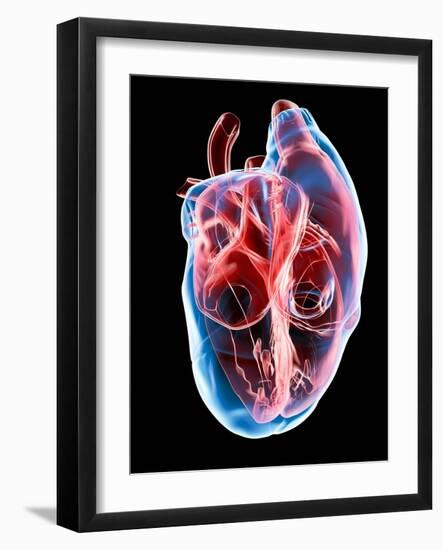 Human Heart, Artwork-Roger Harris-Framed Photographic Print