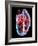 Human Heart, Artwork-Roger Harris-Framed Photographic Print