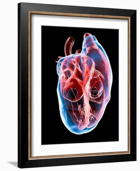 Human Heart, Artwork-Roger Harris-Framed Photographic Print